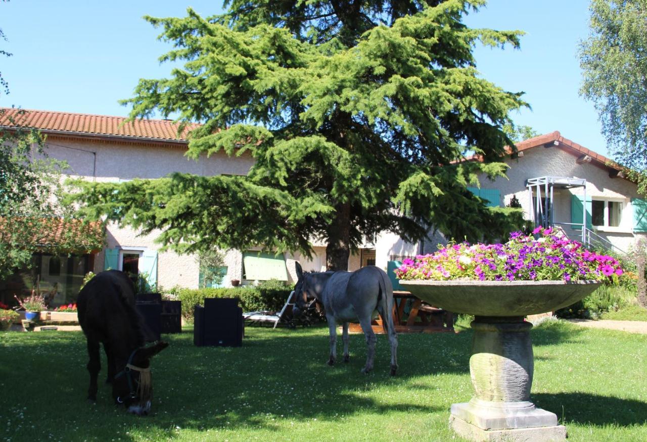 Bed and Breakfast La Ferme De Capucine Culhat Exterior foto
