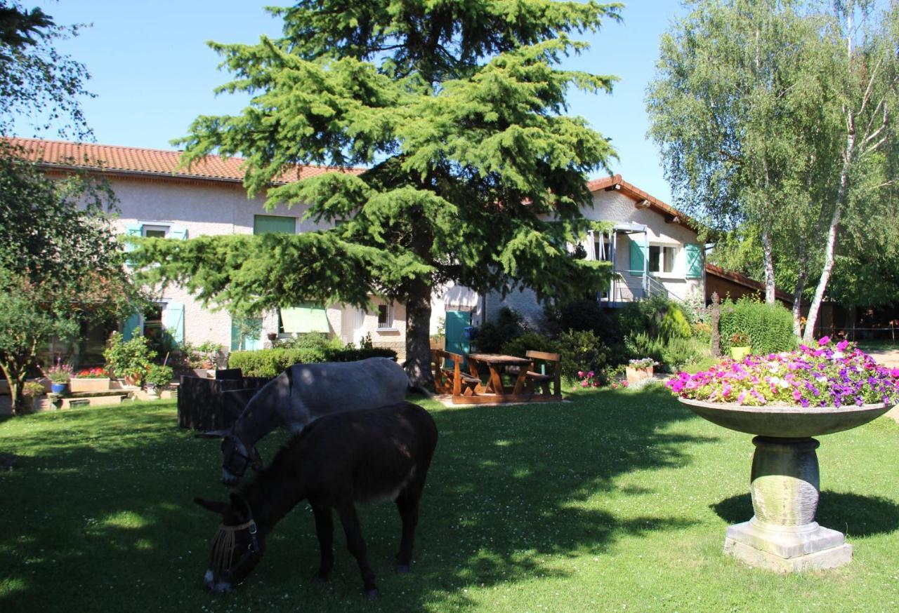 Bed and Breakfast La Ferme De Capucine Culhat Exterior foto